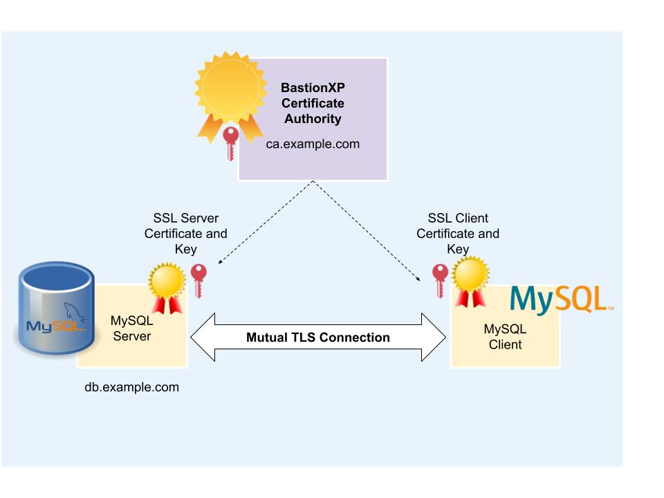 Mutual TLS Authentication Everything You Need To Know Mutual TLS Authentication Everything You Need To Know